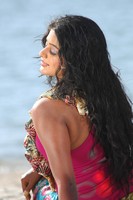 Actress Priyamani Photo Gallery